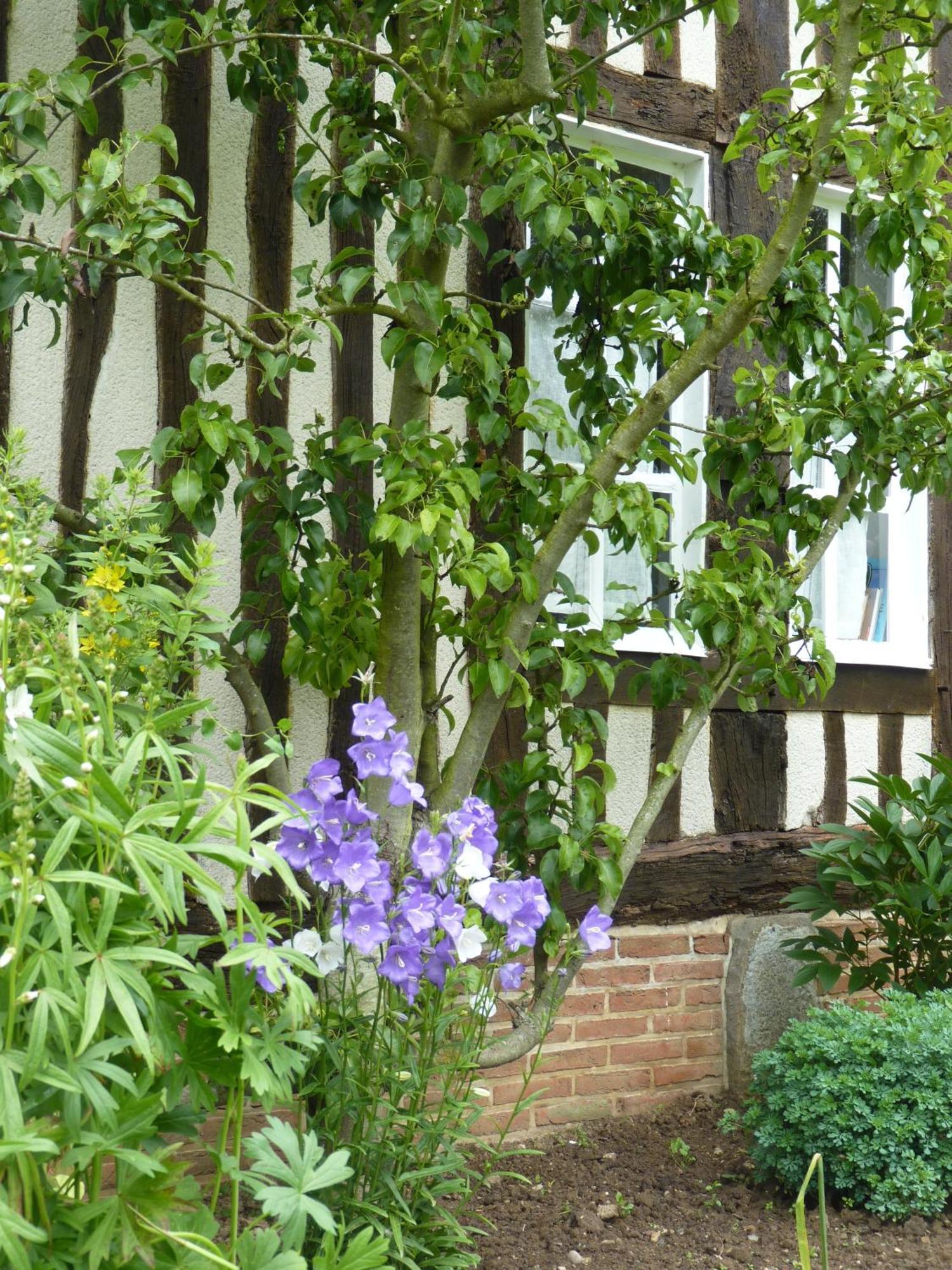 Bed and Breakfast La Charretterie Bacqueville-en-Caux Esterno foto